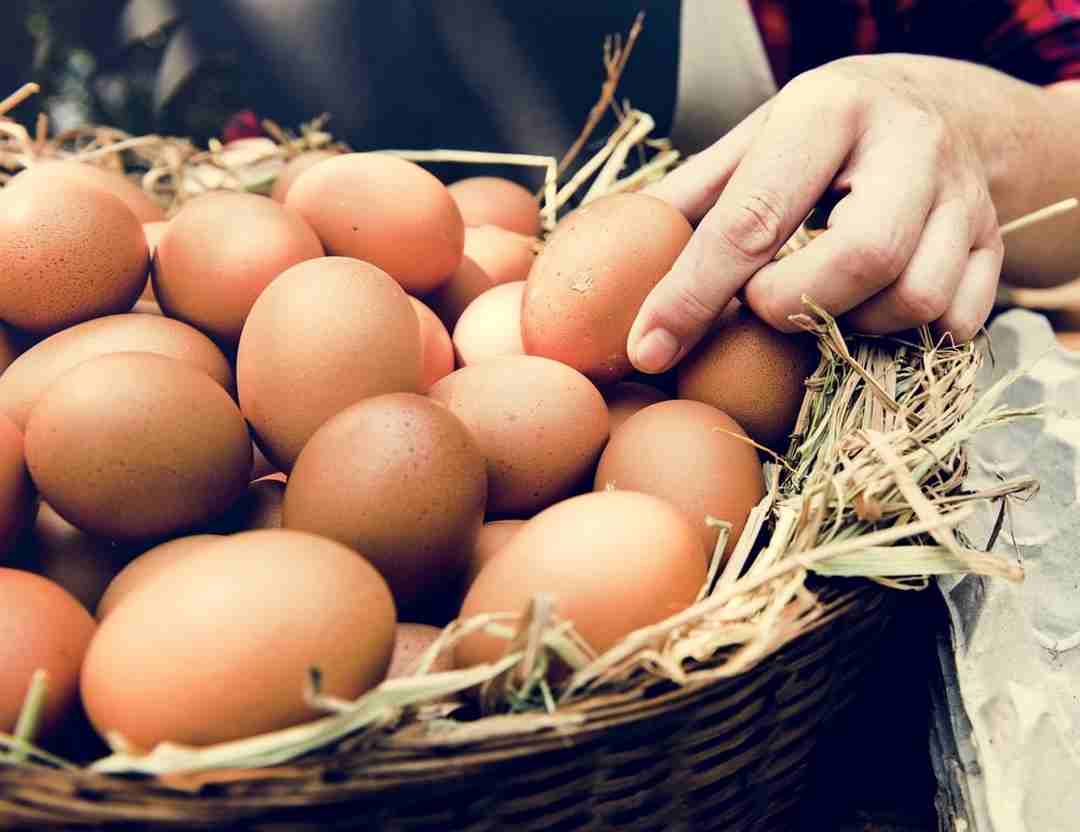Nhặt được nhiều trứng gà cho thấy điều may mắn sắp đến