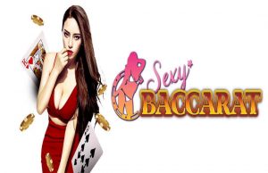 SEXY baccarat